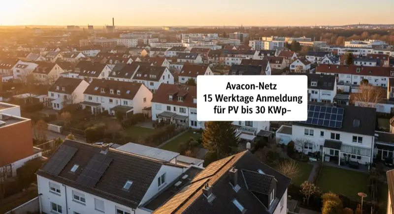 Aerial drone view of typical German residential neighborhood with mixed roof types, red and dark roof tiles, gardens visible, sunny day
