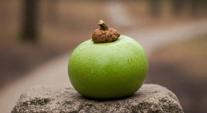 Einfamilienhaus mit Solaranlage im Bergischen Land bei Remscheid