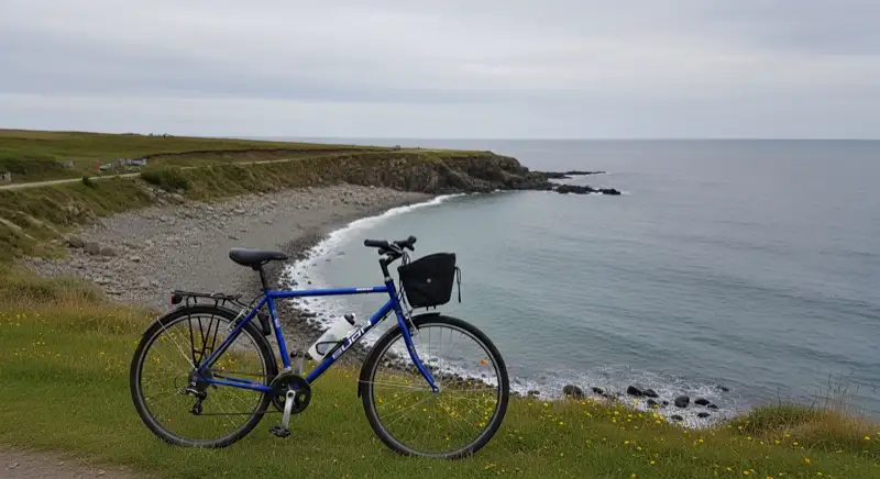 Aerial drone view of typical German residential neighborhood with mixed roof types, red and dark roof tiles, gardens visible, sunny day